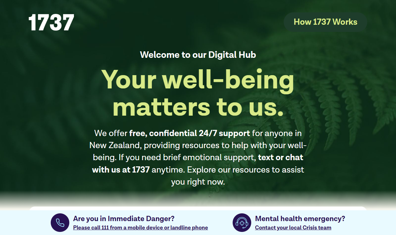 The 1737 Need to talk? website, offering free call or text support on 1737